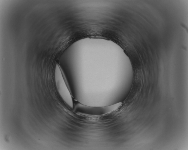 X0000097750084200804041113