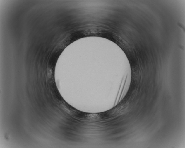 X0000097750087200804041113