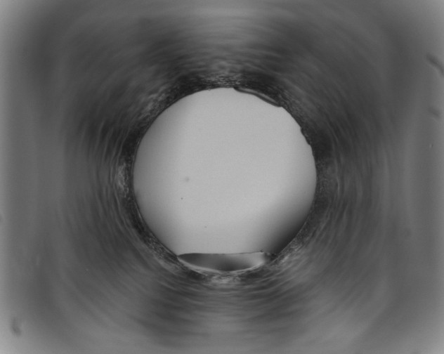 X0000097750088200804041113