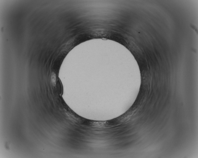 X0000097750089200804041113