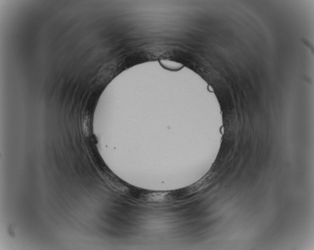 X0000097750090200804041113