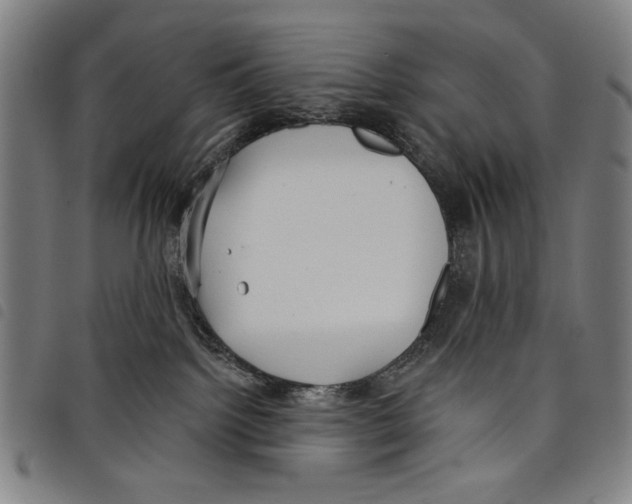 X0000097750092200804041113