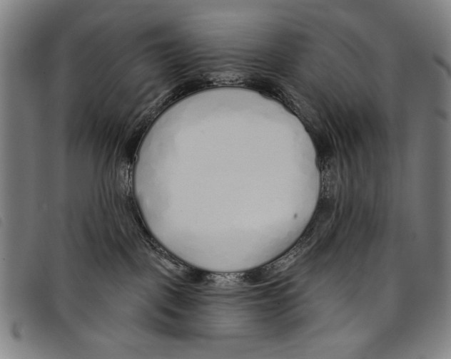 X0000097750093200804041113