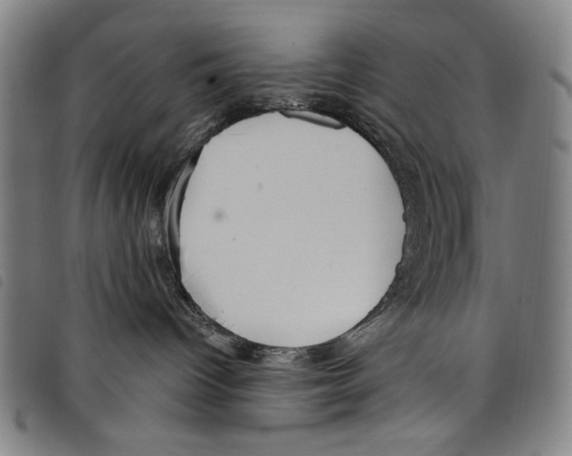 X0000097750096200804041113