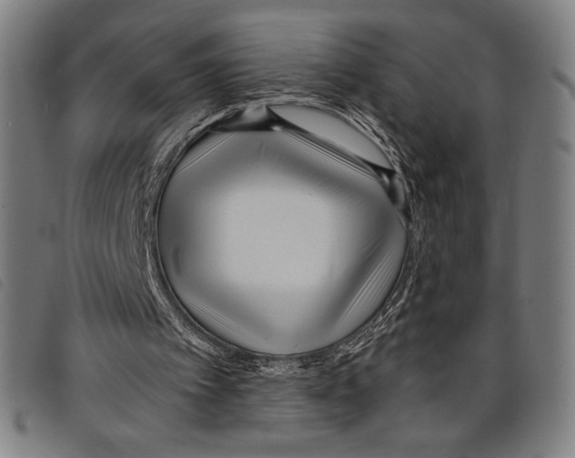 X0000097750097200804041112