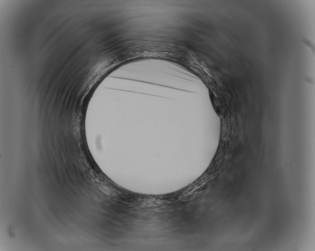 X0000097750098200804041112