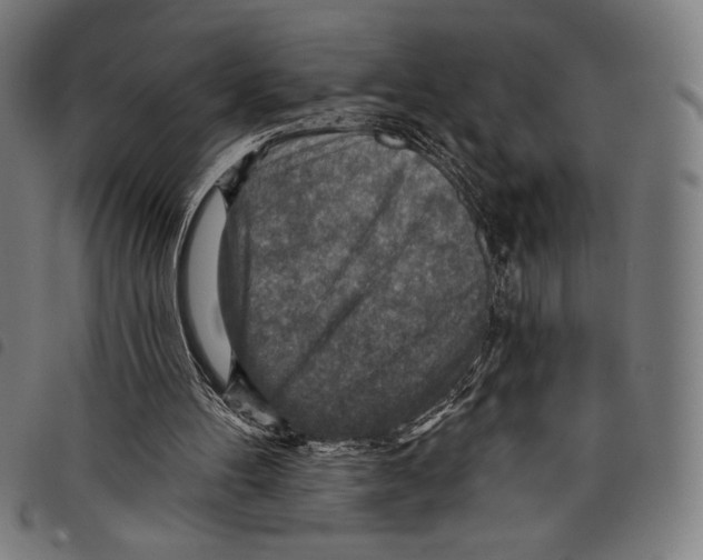 X0000097750100200804041112