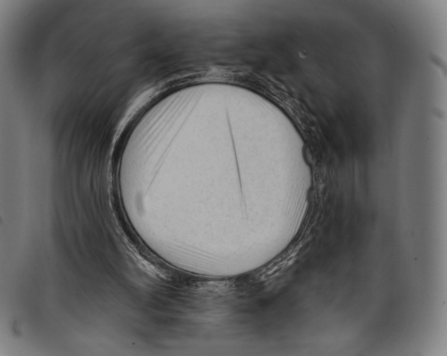 X0000097750102200804041112