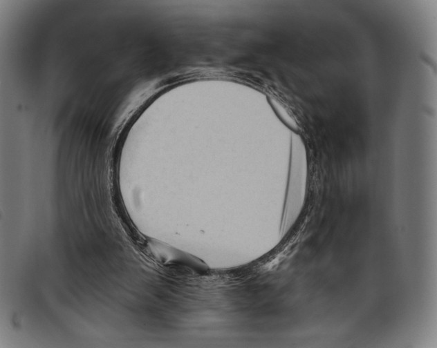 X0000097750103200804041112