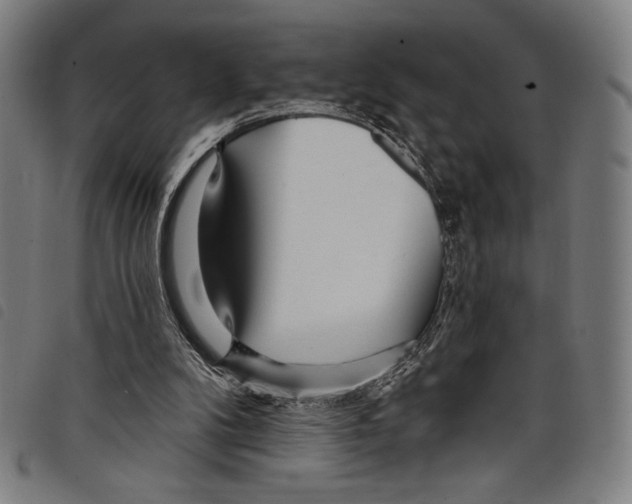 X0000097750104200804041112