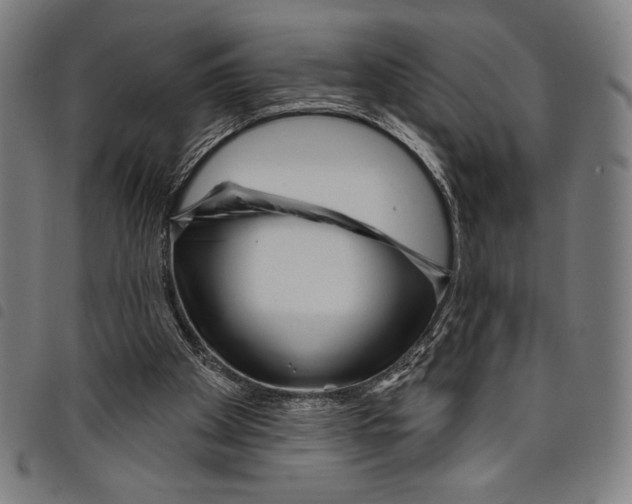 X0000097750105200804041112