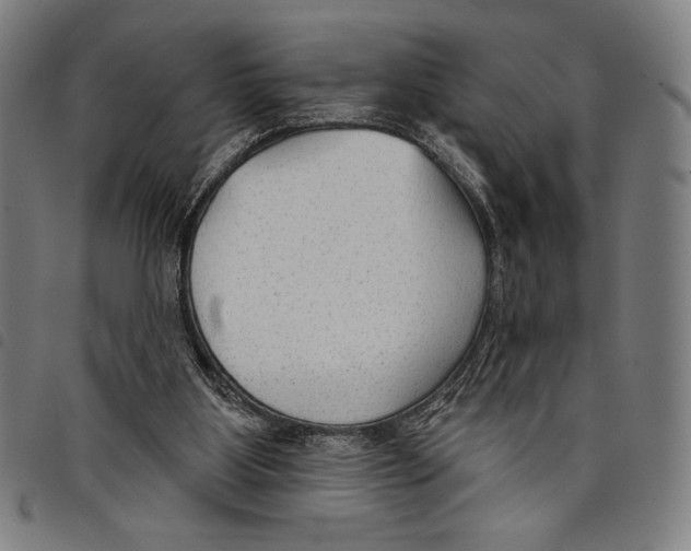 X0000097750107200804041112