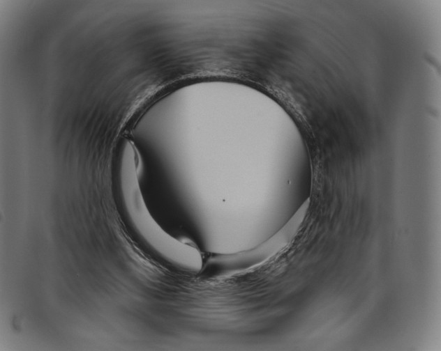 X0000097750108200804041112