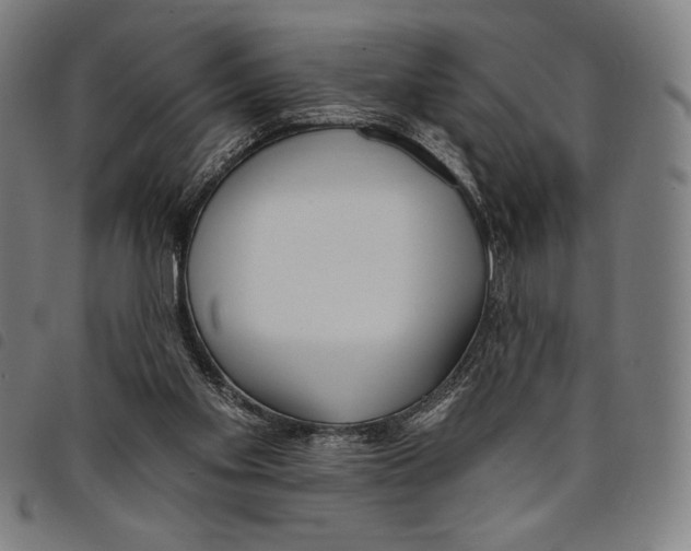 X0000097750109200804041112