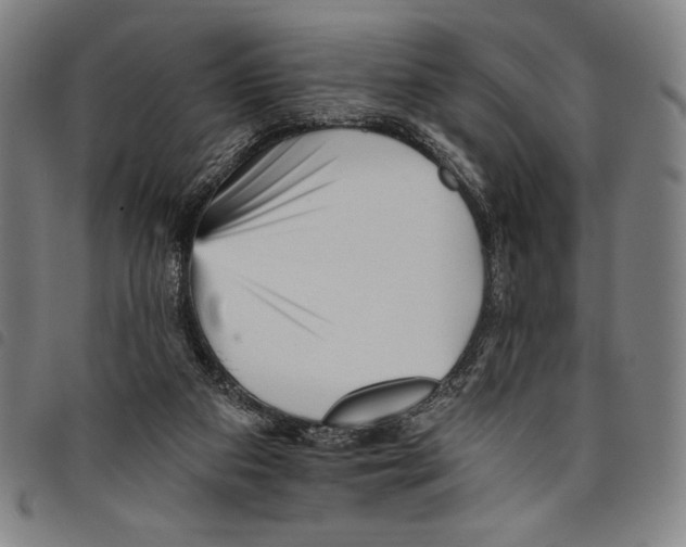 X0000097750113200804041112