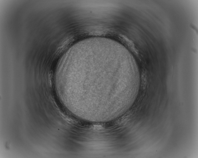 X0000097750114200804041112