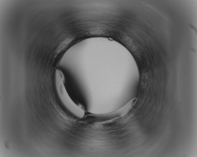 X0000097750116200804041112