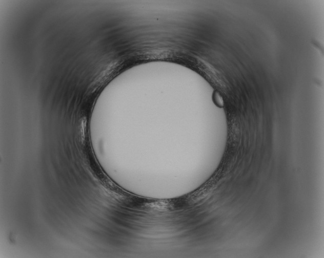 X0000097750118200804041112