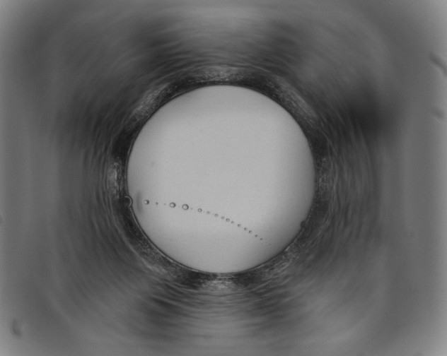 X0000097750119200804041112