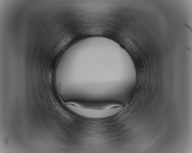 X0000097750120200804041112