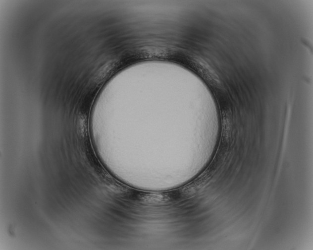 X0000097750123200804041112