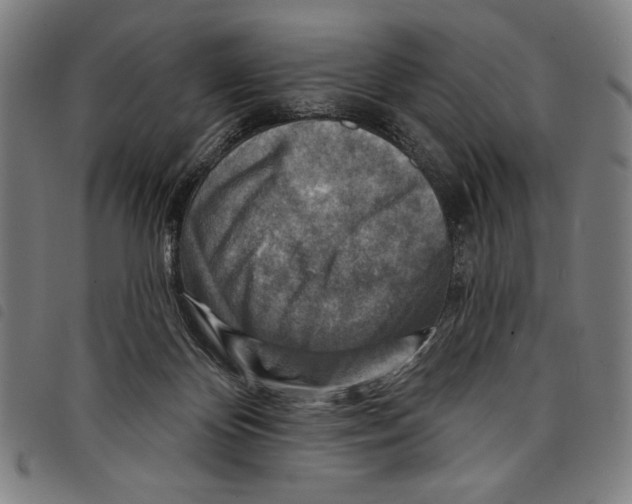 X0000097750124200804041112