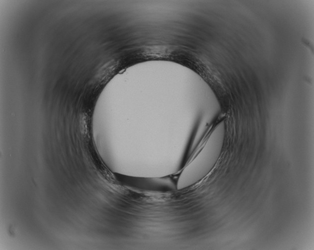 X0000097750128200804041112