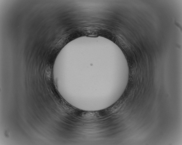 X0000097750129200804041112