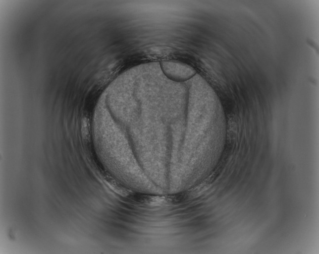 X0000097750130200804041112