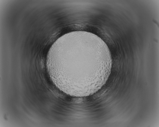 X0000097750131200804041112