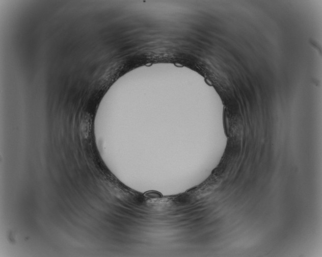 X0000097750133200804041112