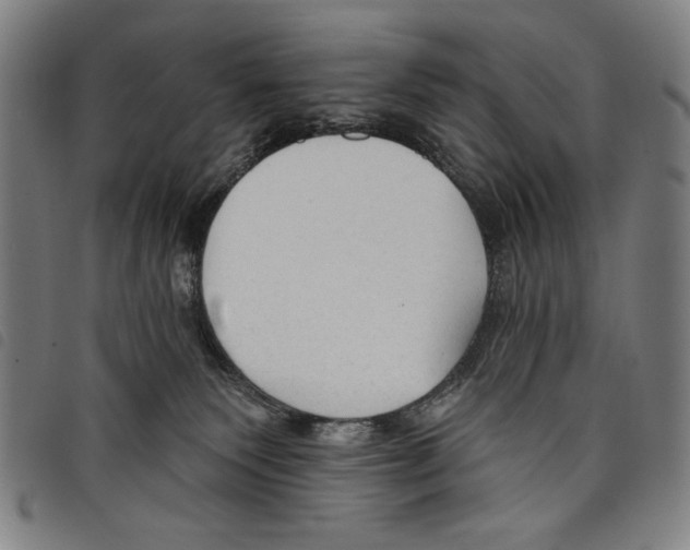 X0000097750135200804041112