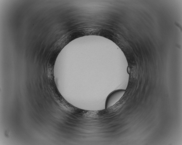 X0000097750138200804041112