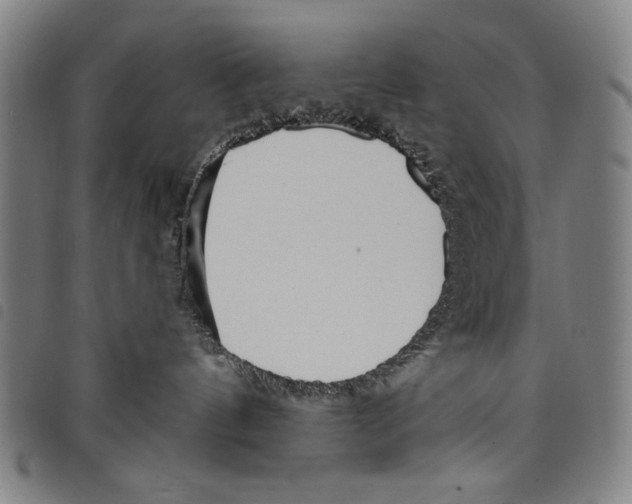 X0000097750144200804041111