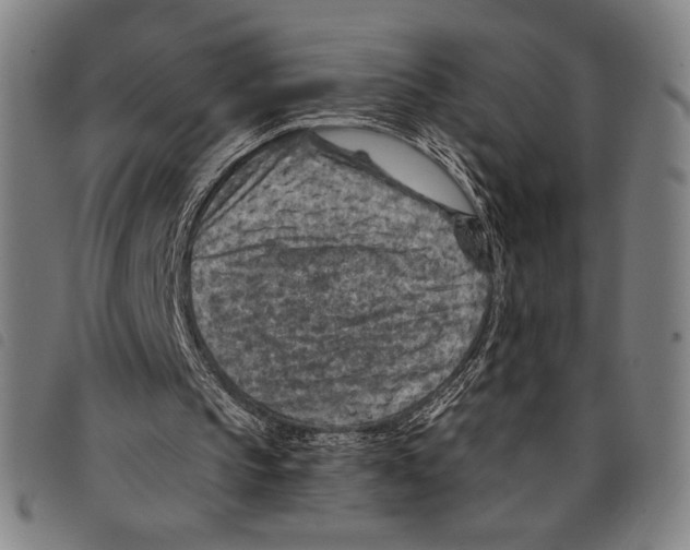 X0000097750145200804041111