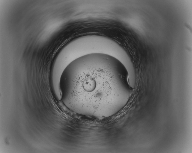 X0000097750146200804041111