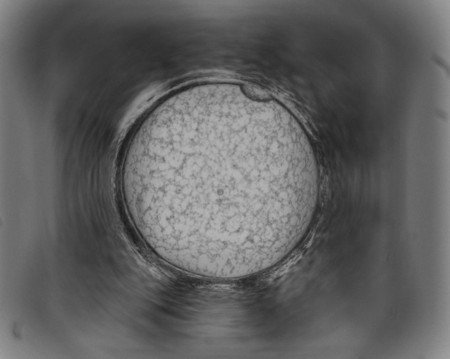 X0000097750151200804041111