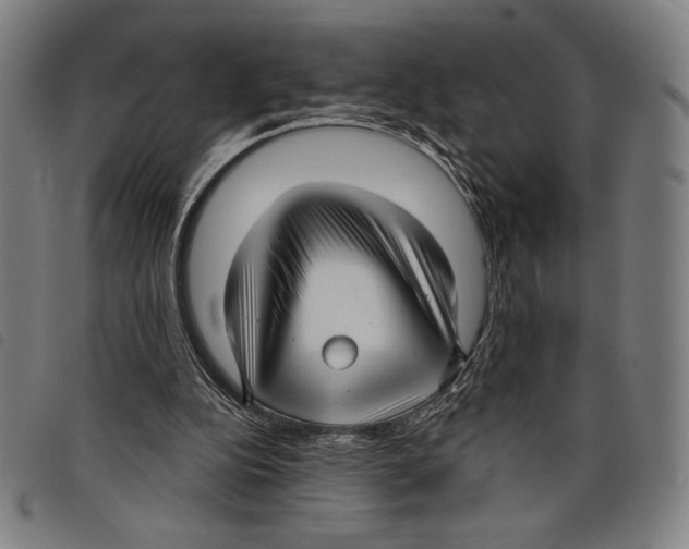 X0000097750152200804041111