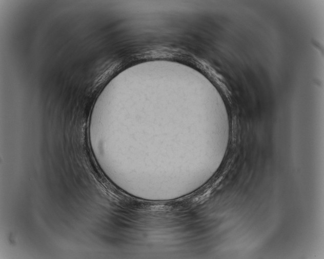 X0000097750153200804041111