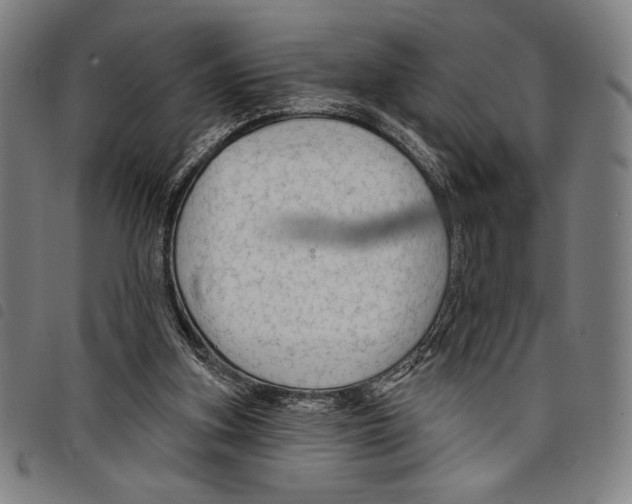 X0000097750155200804041111