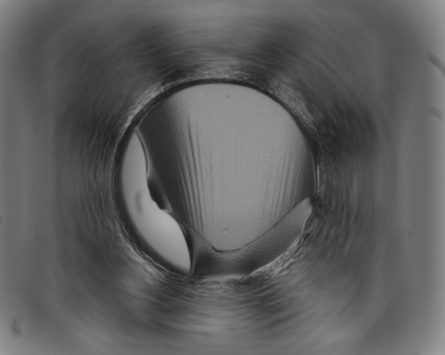 X0000097750156200804041111