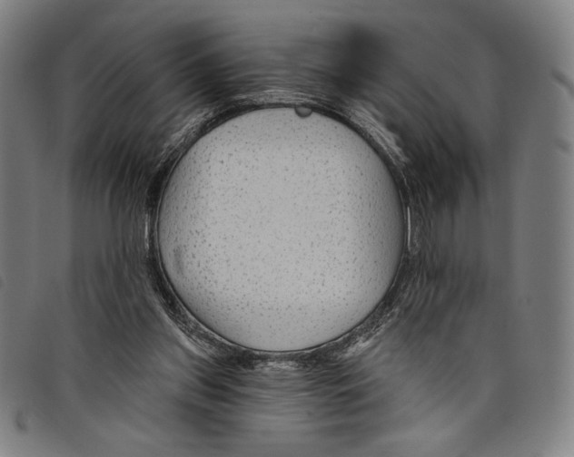 X0000097750157200804041111