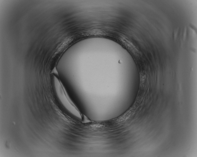 X0000097750158200804041111