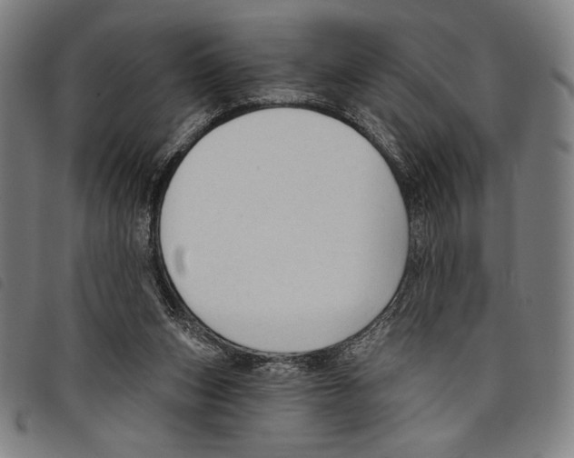 X0000097750159200804041111