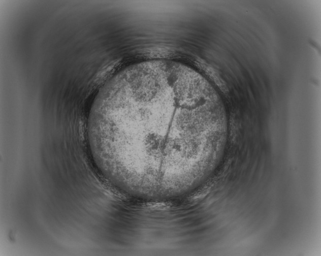 X0000097750161200804041111