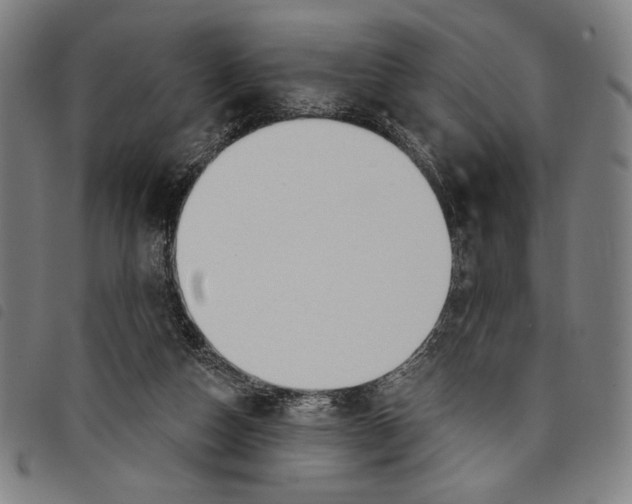 X0000097750162200804041111