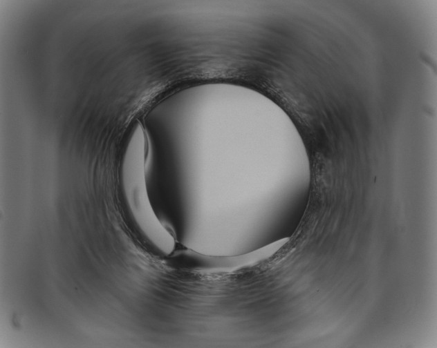 X0000097750164200804041111