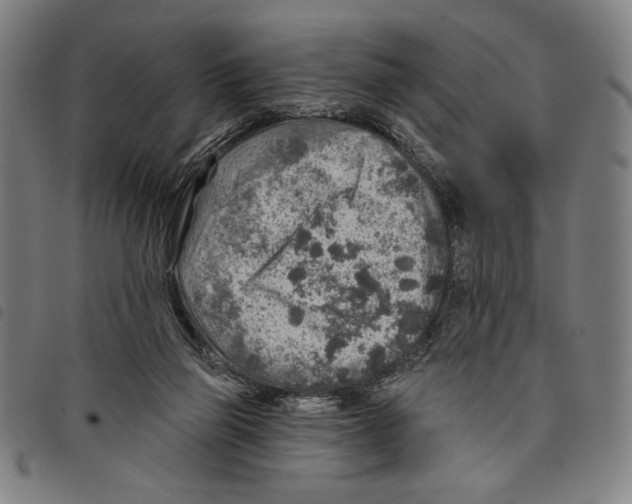 X0000097750165200804041111