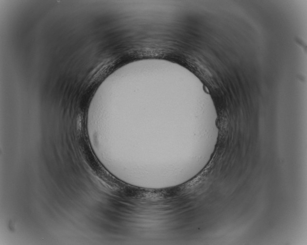 X0000097750166200804041111