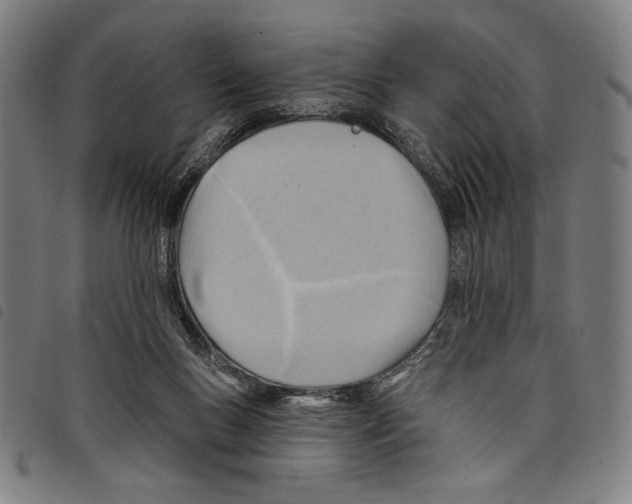 X0000097750167200804041111